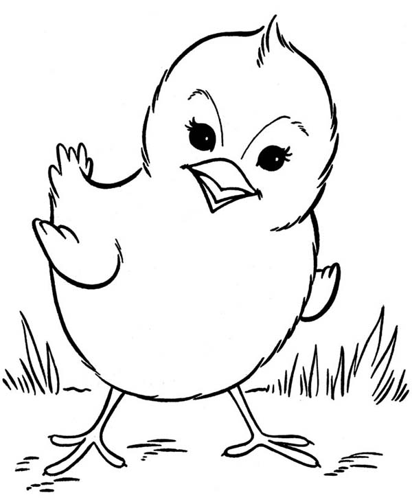 Fried Chicken Coloring Page