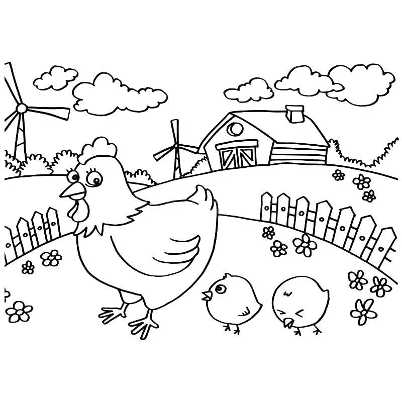 800x800 Chicken Coloring Page Chicken Coloring Page Chicken Coloring Page