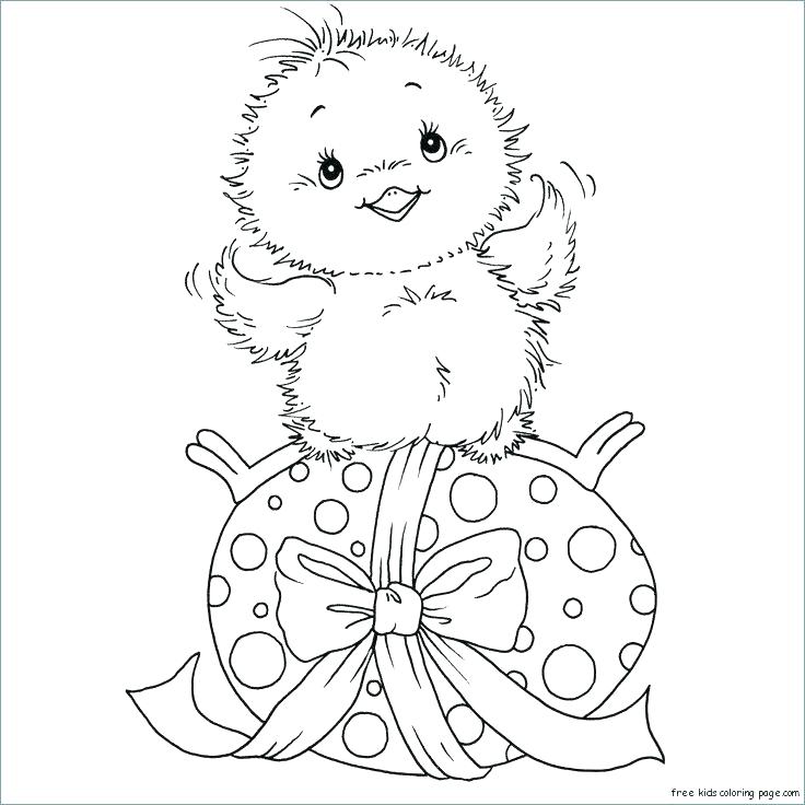 736x736 Egg Coloring Page Eggs Coloring Pages For Adults Kids Coloring