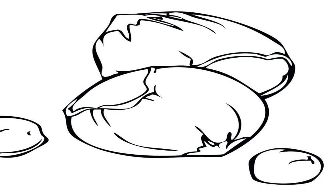 1043x626 Fried Egg Coloring Pages Eggs Images Outline Page Panda Org Fry