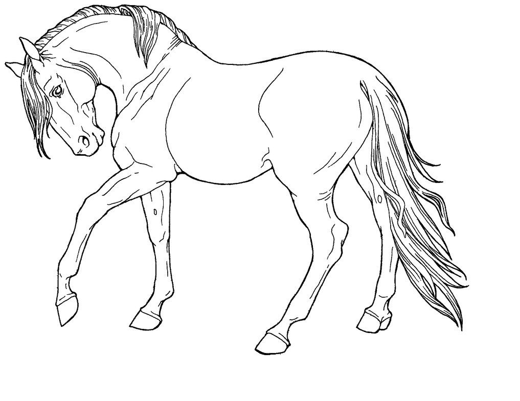 1017x785 Horse Drawings Creative Commons Attribution Noncommercial No