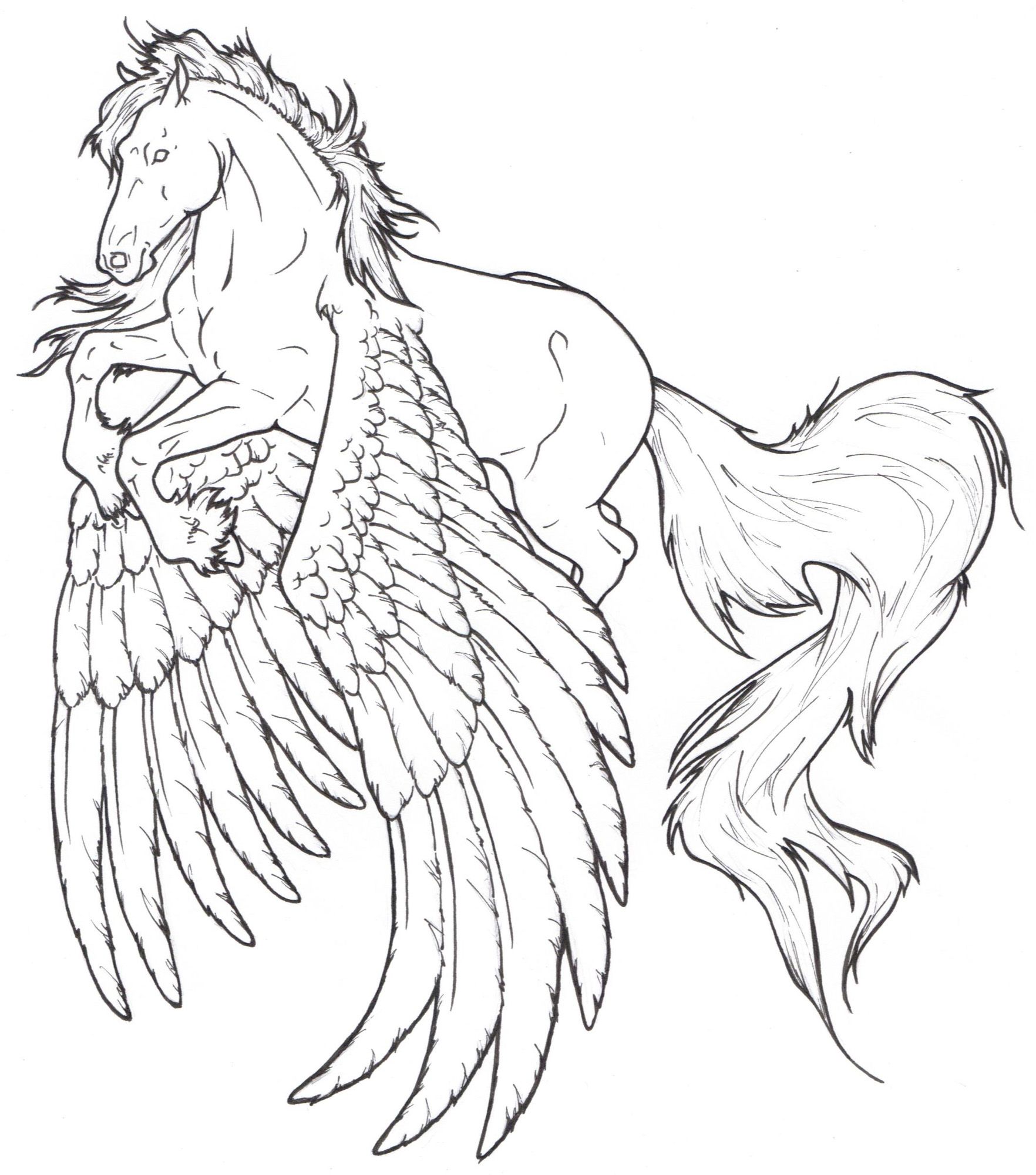 1764x2000 Image Detail For Friesian Flight By Requay On Pegasus