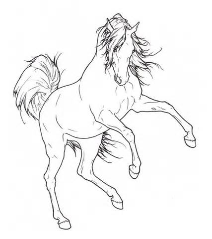 427x480 Quarter Horse Head Coloring Page, Quarter Horse Drawing Friesian