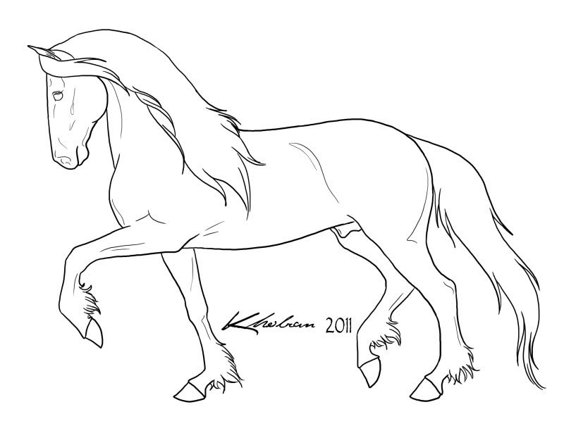 800x605 Photo Friesianstallionlines2.jpg Sketchs Fantasy