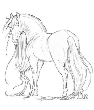 299x350 More Collections Like Friesian Horse By Requay