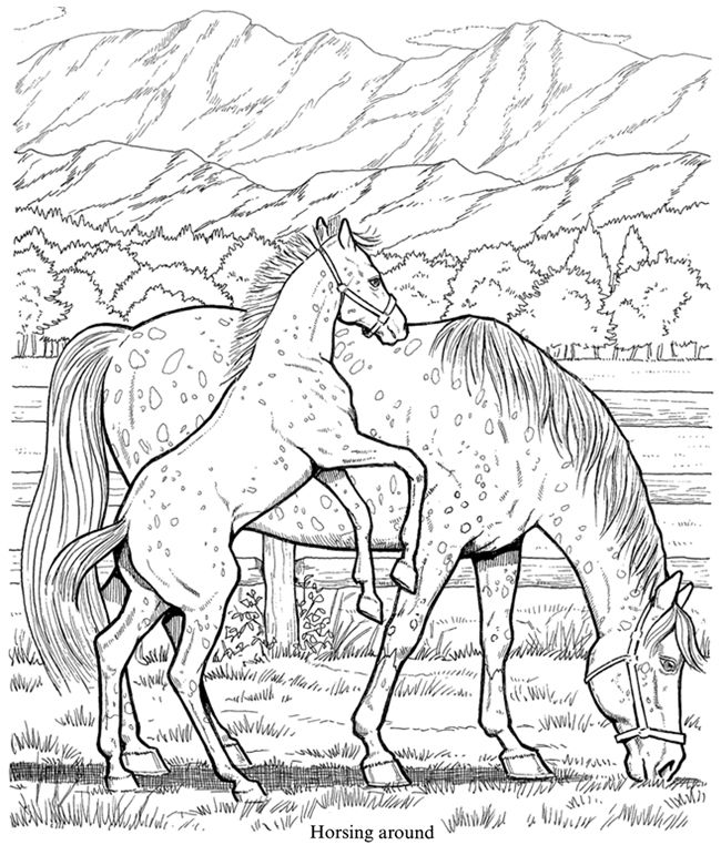 Friesian Horse Coloring Pages