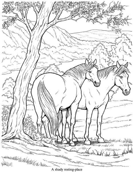 472x600 Friesian Coloring Pages New 197 Best Horse Lovers Coloring Books