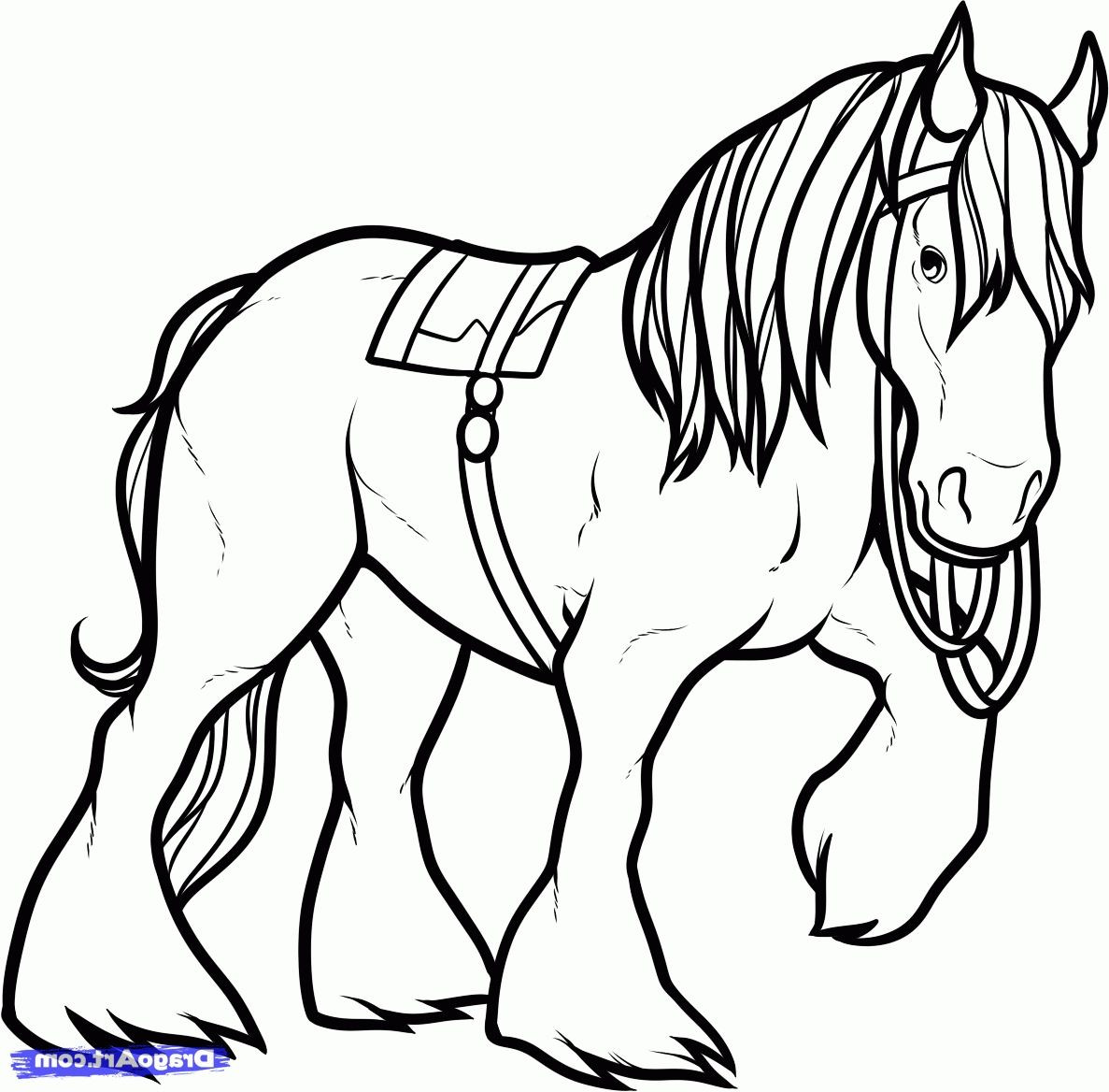 1187x1168 Friesian Horse Coloring Page Clydesdale Pages