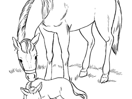 440x330 30 Coloring Pages Of Horses Printable, Horse Coloring Page