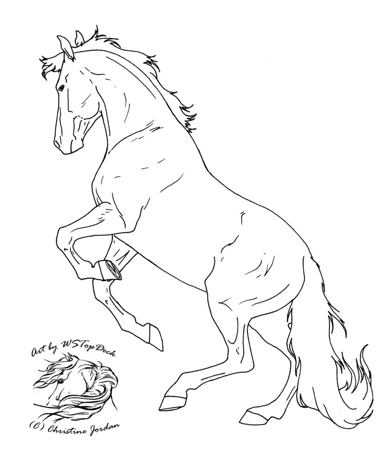800x941 Palomino Horse Coloring Pages Download And Print For Free