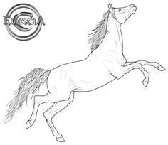 236x204 3340c6eddb4917987084004e0c3ef975 Horse Coloring Pages Adult