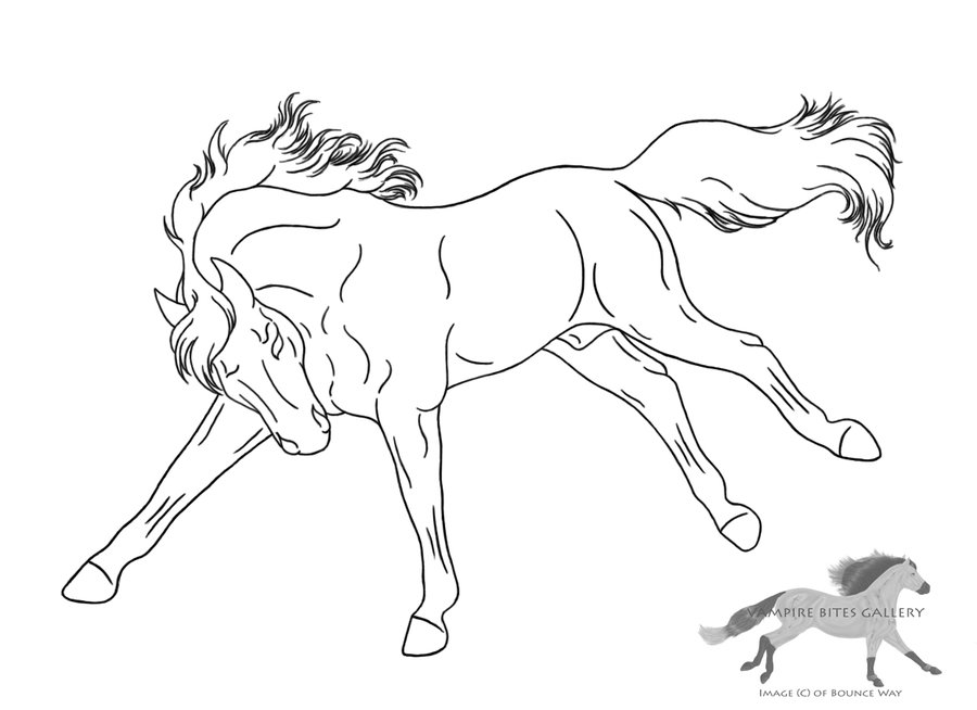 900x654 Bucking Horse Coloring Pages