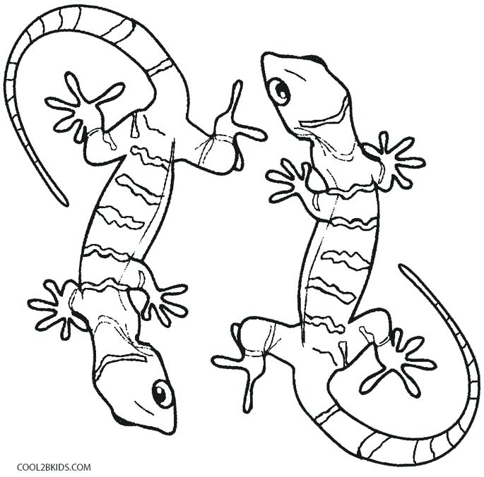 685x676 Lizard Coloring Page Desert Lizard Coloring Pages Frilled Lizard