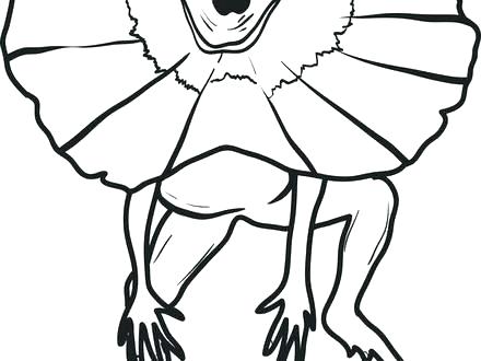 440x330 Lizard Coloring Page Simple Ard Coloring Pages Free Download Two