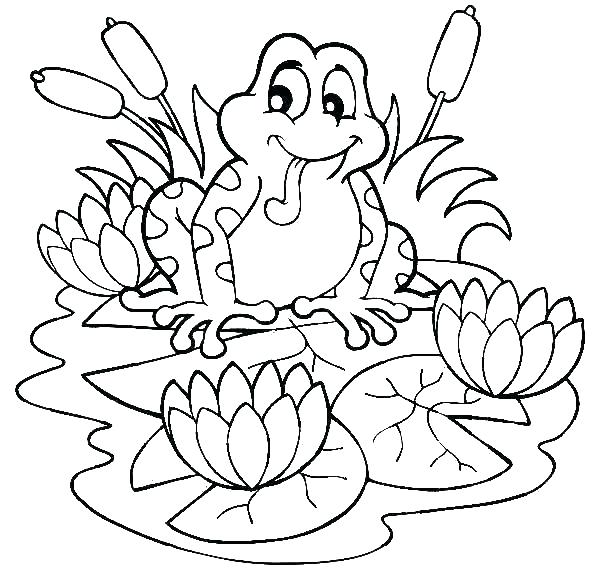 600x569 Frog Coloring Page S S S Free Printable Frog Coloring Pages