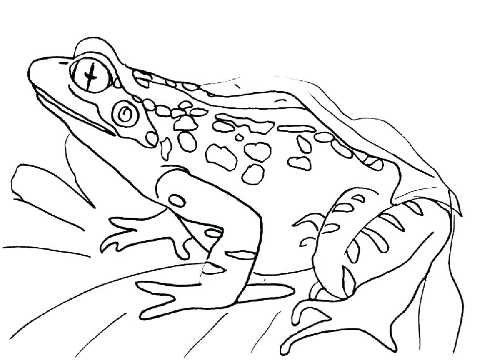 1024x744 Coloring Pages Frog Toad Coloring Pages Toad Coloring Page Toad