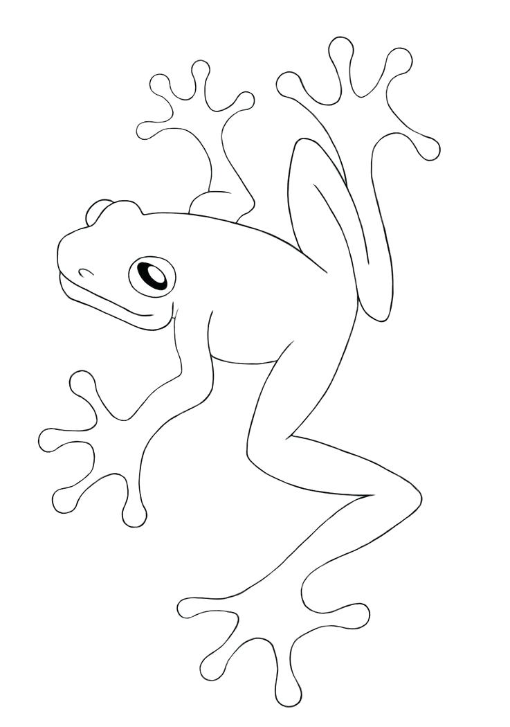 737x1050 Frog Color Pages Cartoon Coloring Medium Size Realistic Frog