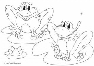 320x226 Frog Colouring Pages