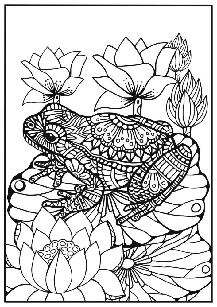 707x1000 95 Best Frogs Images On Frogs, Cute Frogs And Funny Frogs