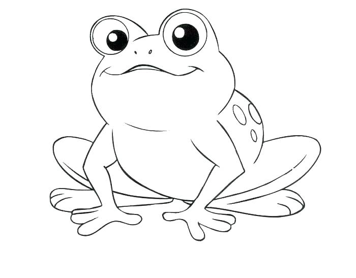 700x547 Tree Frog Coloring Pages Frogs Coloring Pages Printable Frog