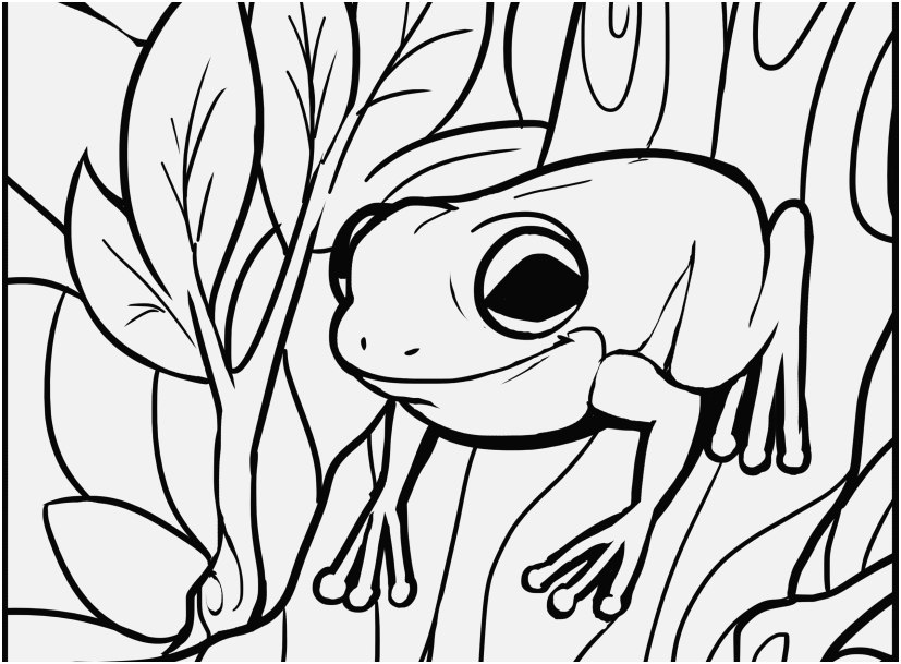 827x609 A Good Picture Frog Coloring Pages Top Rated