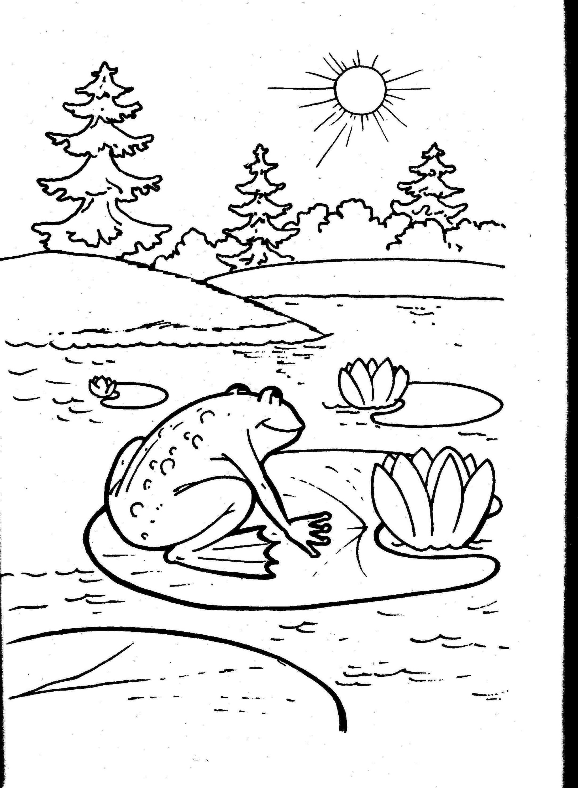 2202x3000 Preschool Frog Coloring Pages Preschool Bird Colouring Iron Man