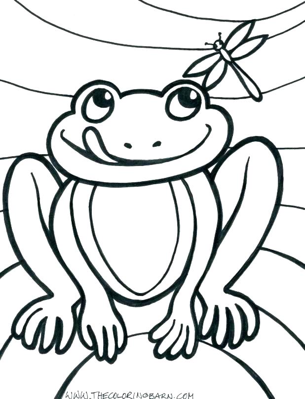 618x810 Frog Coloring Pages