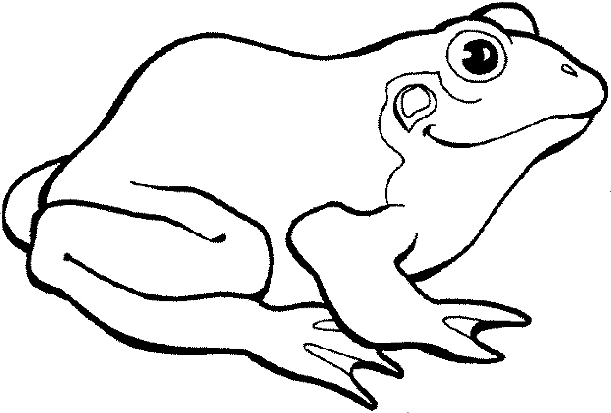2000x1354 Cartoon Frog Coloring Pages For Preschoolers Qqa Me Arilitv Com