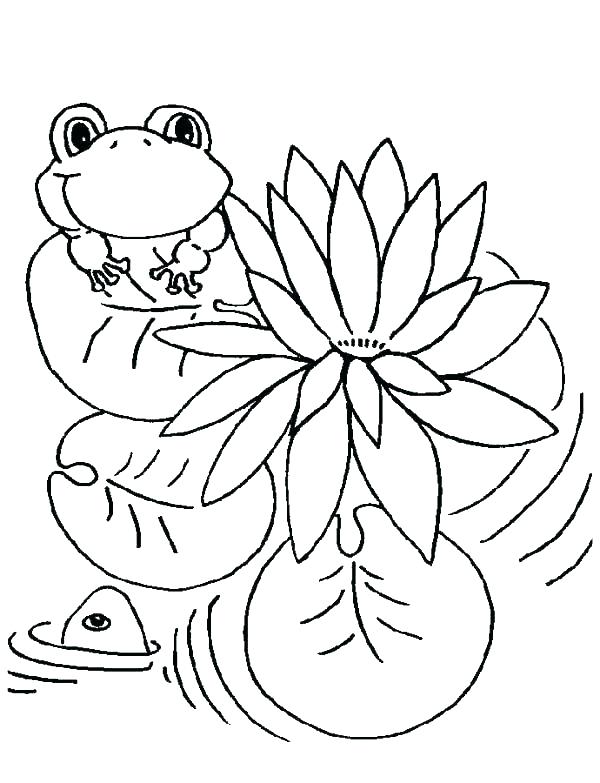 600x783 Coloring Page Frog Free Frog Coloring Pages For Preschoolers
