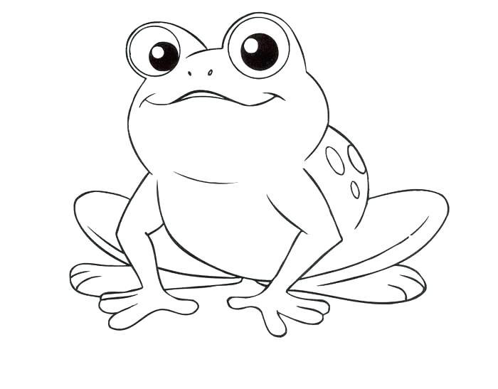 700x547 Frog Coloring Pages Frog Coloring Book Inspirational Cartoon Frog