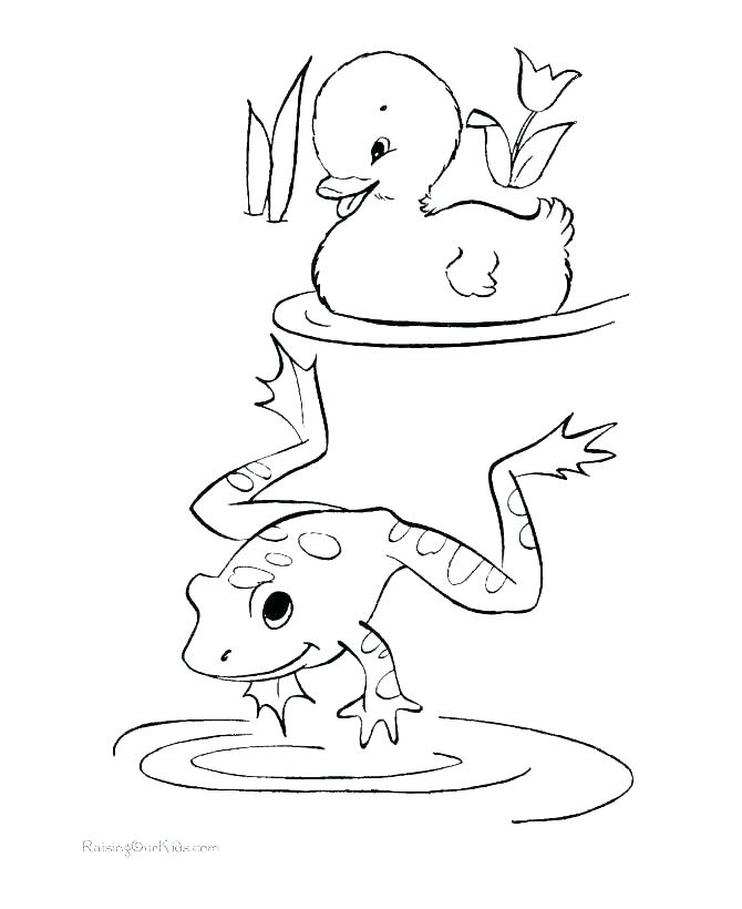 670x820 Tree Frog Coloring Page Tree Frog Coloring Page Frog Coloring
