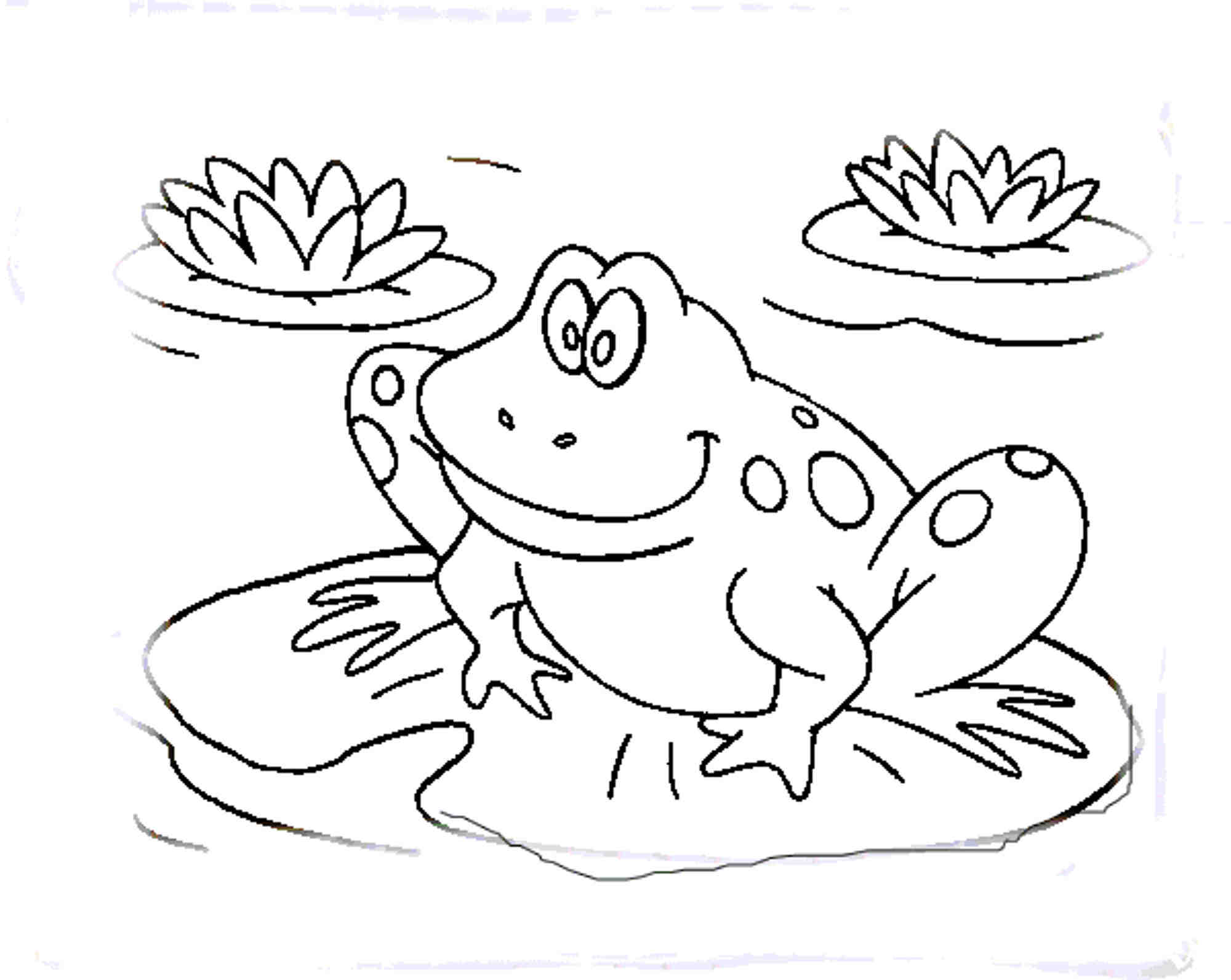 2000x1593 Frog Coloring Pages With Wallpaper Picture Mayapurjacouture Frog