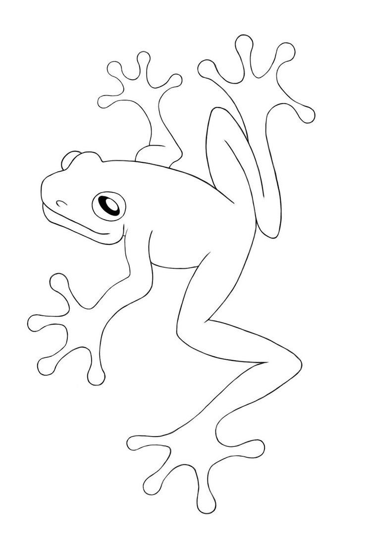 737x1085 Free Printable Frog Coloring Pages For Kids