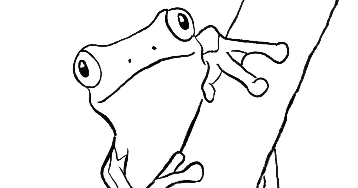 1200x630 Frog Coloring Page Coloring Pages Frogs Coloring Page Red Eyed