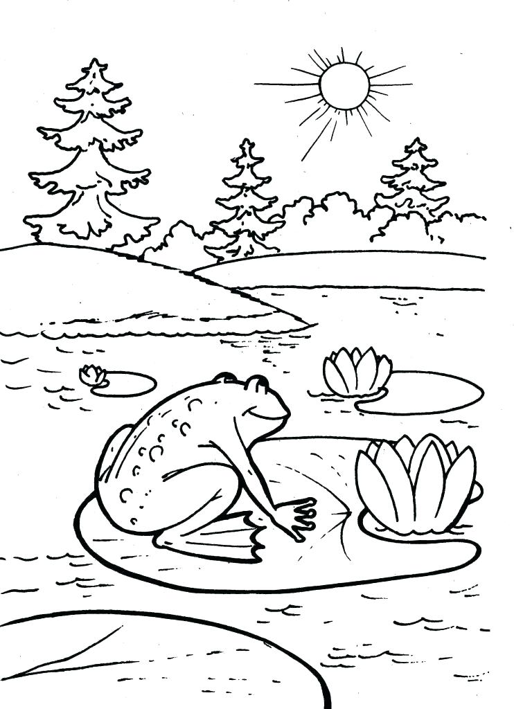 742x1024 Frog Coloring Sheet Frog Coloring Pages For Frog Life Cycle