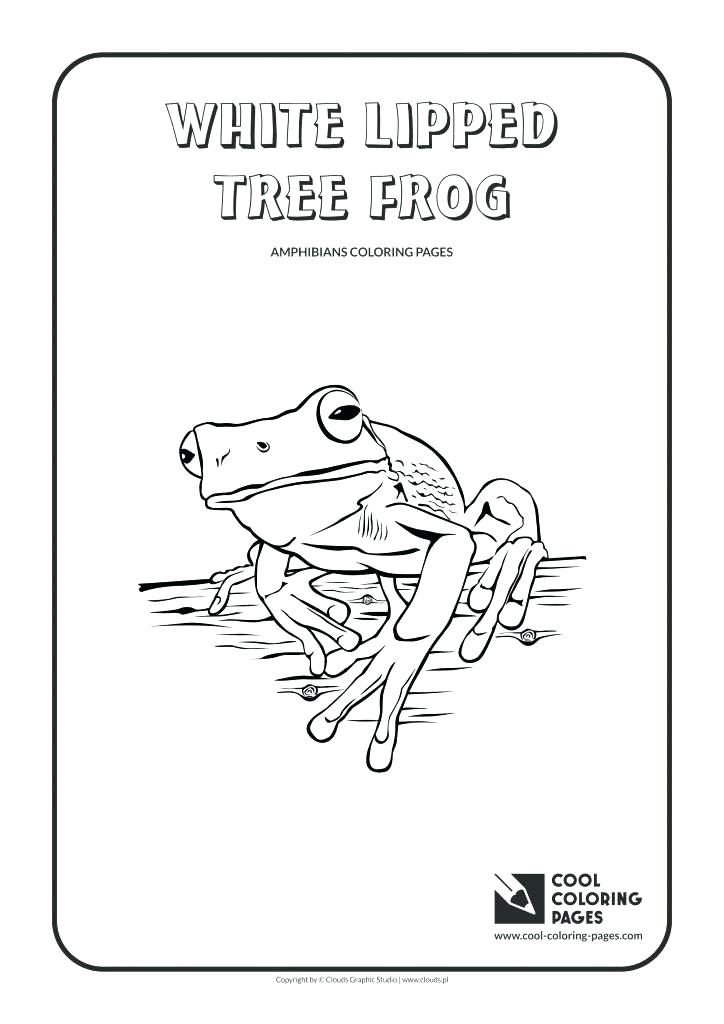 724x1024 Frog Life Cycle Coloring Pages Free Page Printable Leap Of Tree
