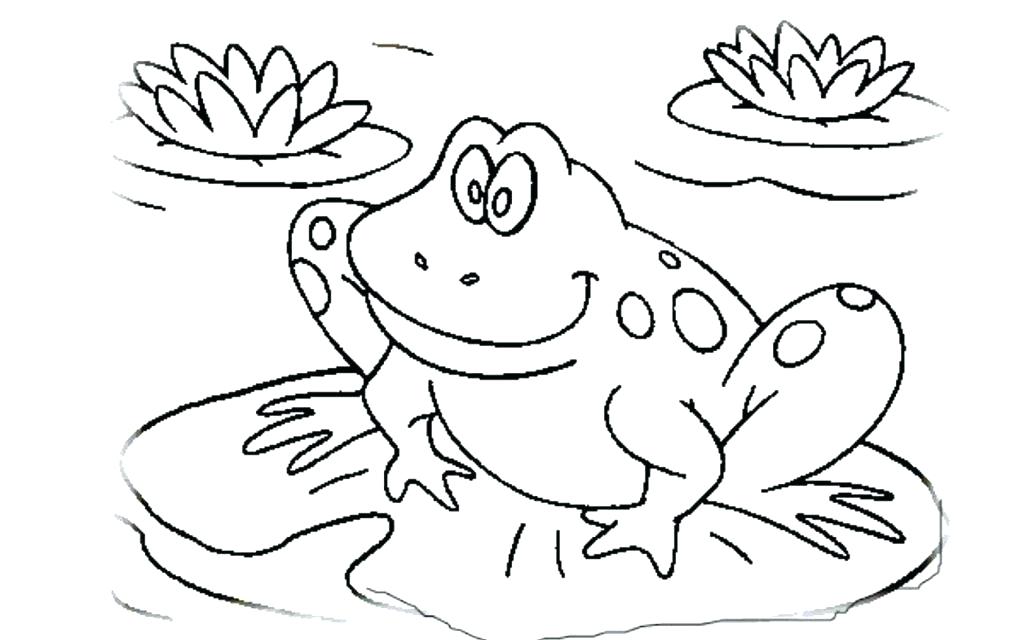 1024x640 Tadpole Coloring Page Tadpole Coloring Page Coloring Page Of Frog