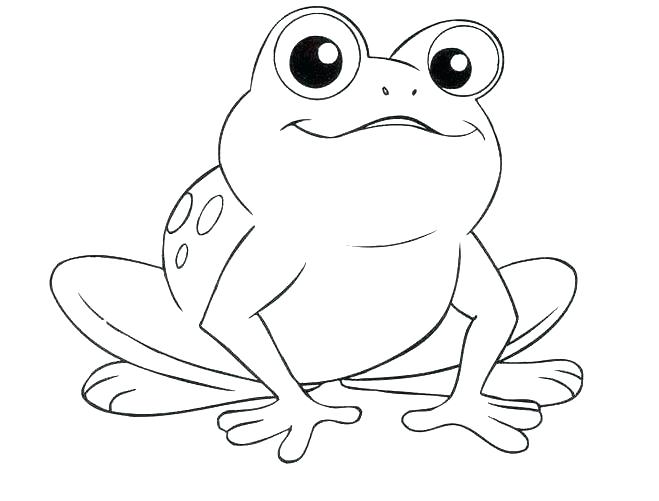 659x501 Frog And Toad Coloring Pages Best Tree Frog Coloring Page Online