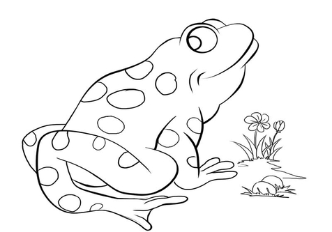 476x333 Prince Coloring Pin Pages And Princess