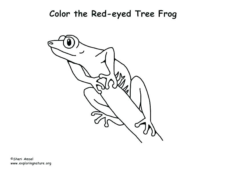 792x612 Coloring Pages Of Frogs Coloring Page Of A Frog Printable Frog
