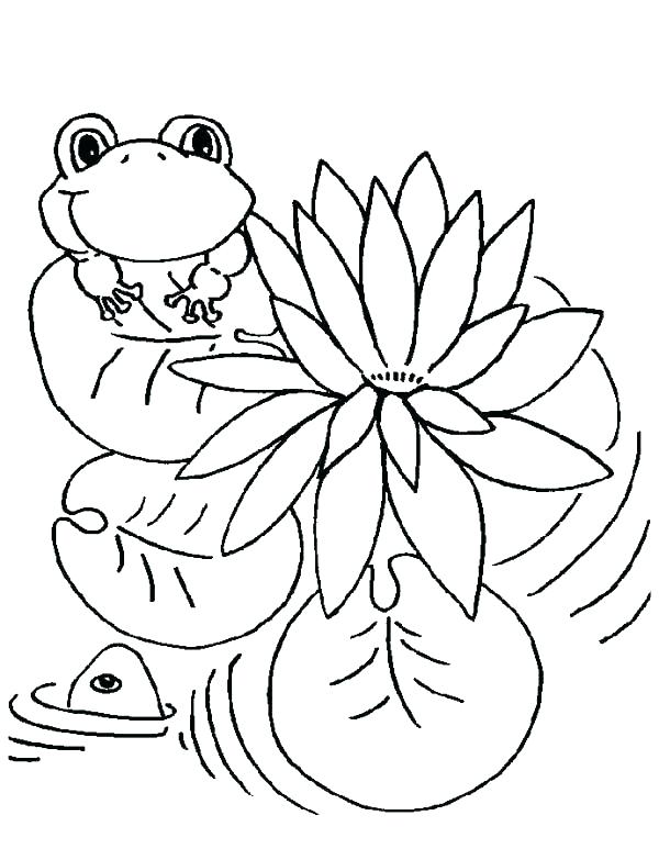 600x783 Frogs Coloring Pages Cute Frog Coloring Pages Frogs Coloring Pages