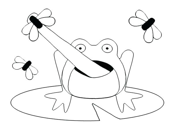600x463 Coloring Frog Frogadier Coloring Pages