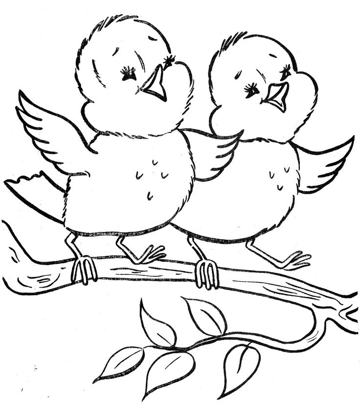 736x826 2447 Best Coloring Pages Amp Activities Images On Adult