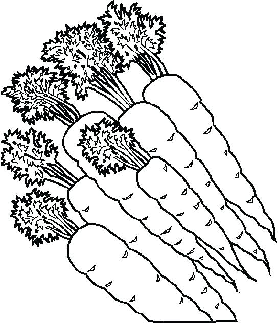 544x632 Vegetable Coloring Pages Delightful Vegetable Coloring Pages Fee
