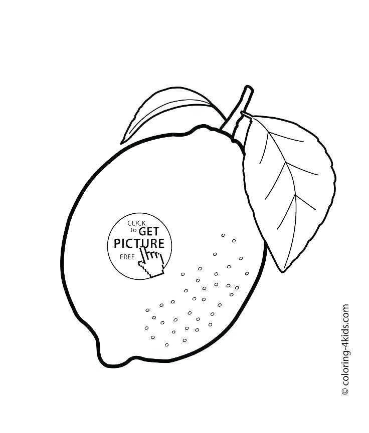 736x865 Coloring Pages Of Oranges Fruit Basket Coloring Pages Fruits
