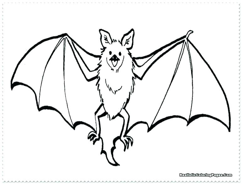 770x585 Baseball Bat Coloring Page Plus Baseball Bat Coloring Page Bats