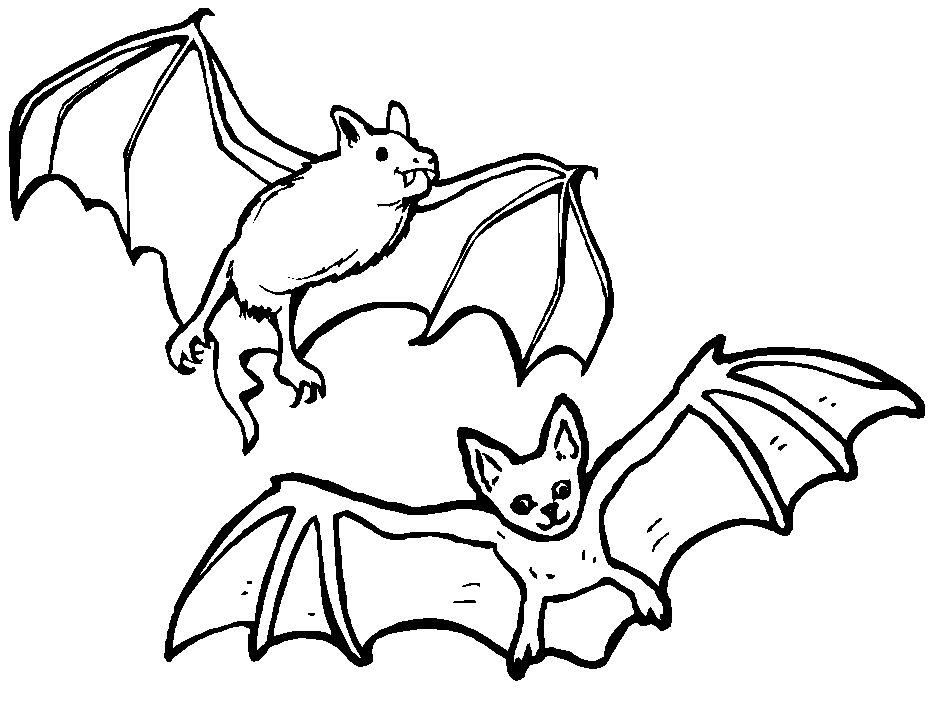 949x713 Brown Bat Coloring Page Wild Kratts Special