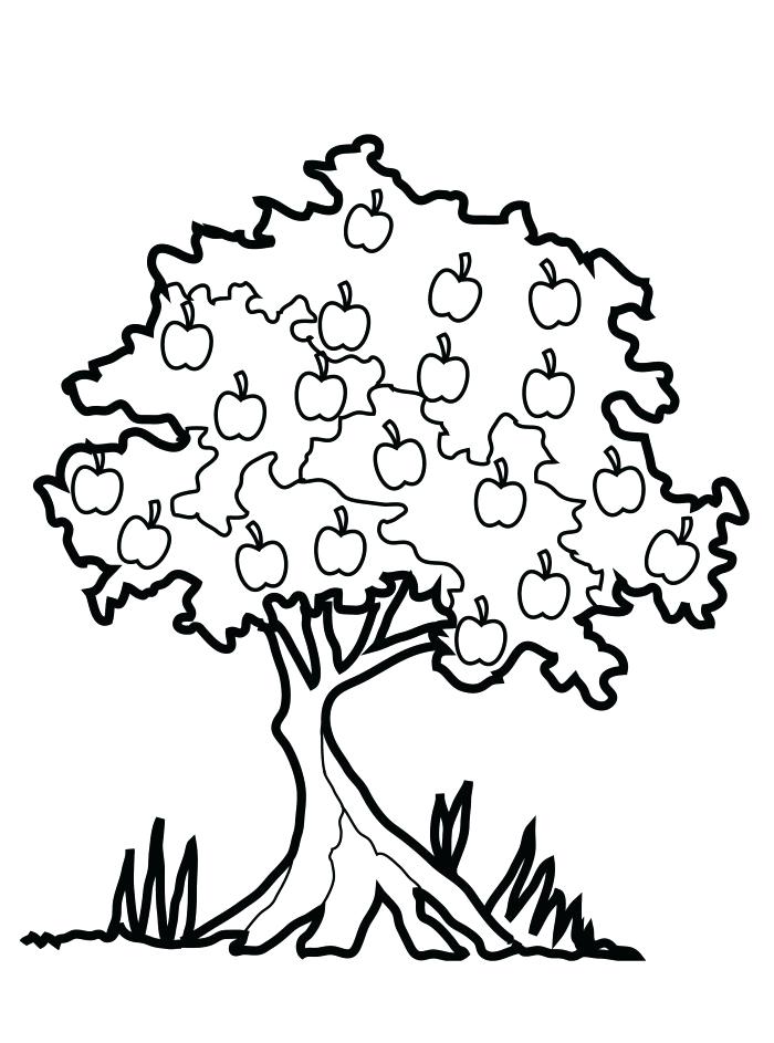 700x943 Apples Coloring Page 4 Gorgeous Apple Tree Coloring Page Apple