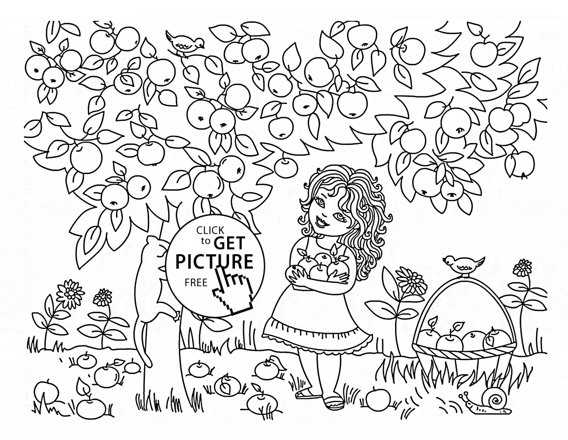 1911x1480 Coloring Pages Apple Tree Best Of Apple Tree Coloring Pages Free