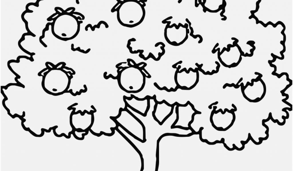 1024x600 Tree Coloring Pages Pics Fruit Tree Coloring Page 5041